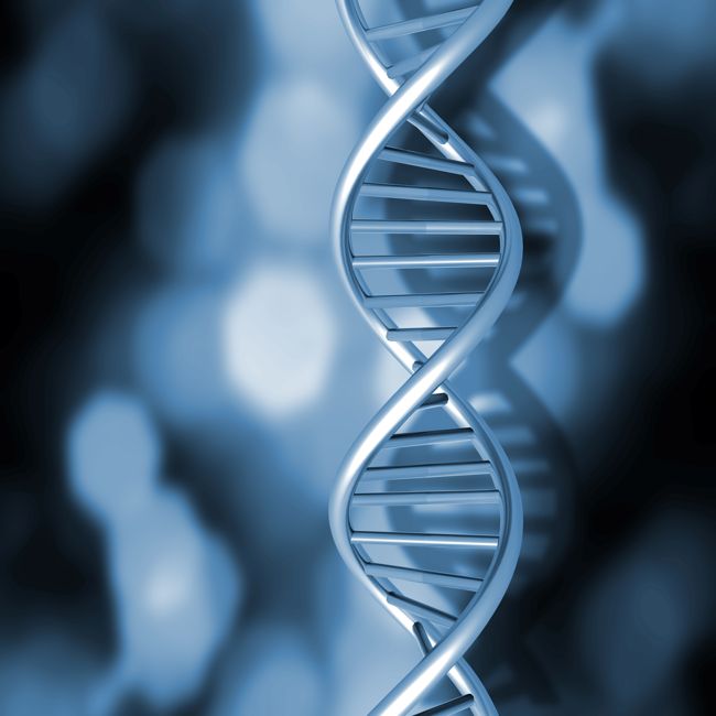 Structurele verschillen in DNA zichtbaar door nieuwe technieken
